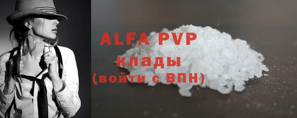 прущие грибы Яровое