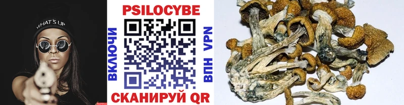 Галлюциногенные грибы Cubensis  где продают наркотики  Новомичуринск 