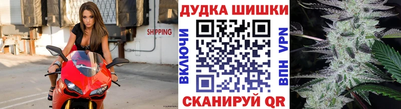 Конопля гибрид  Новомичуринск 